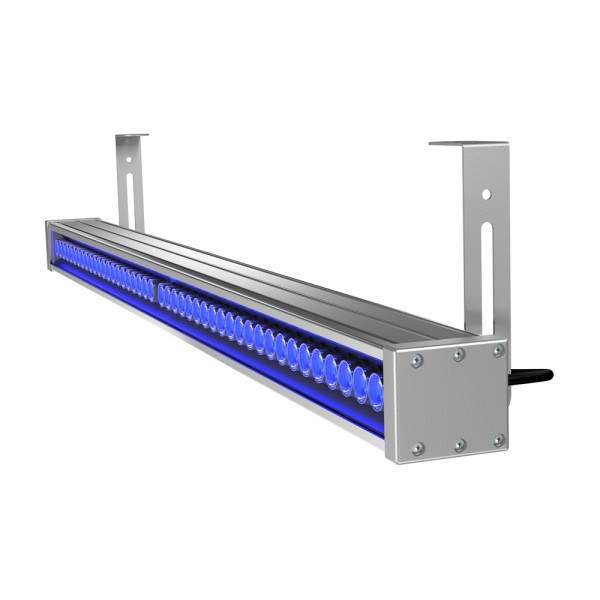 barokko-40-1000-blue-1-600x600